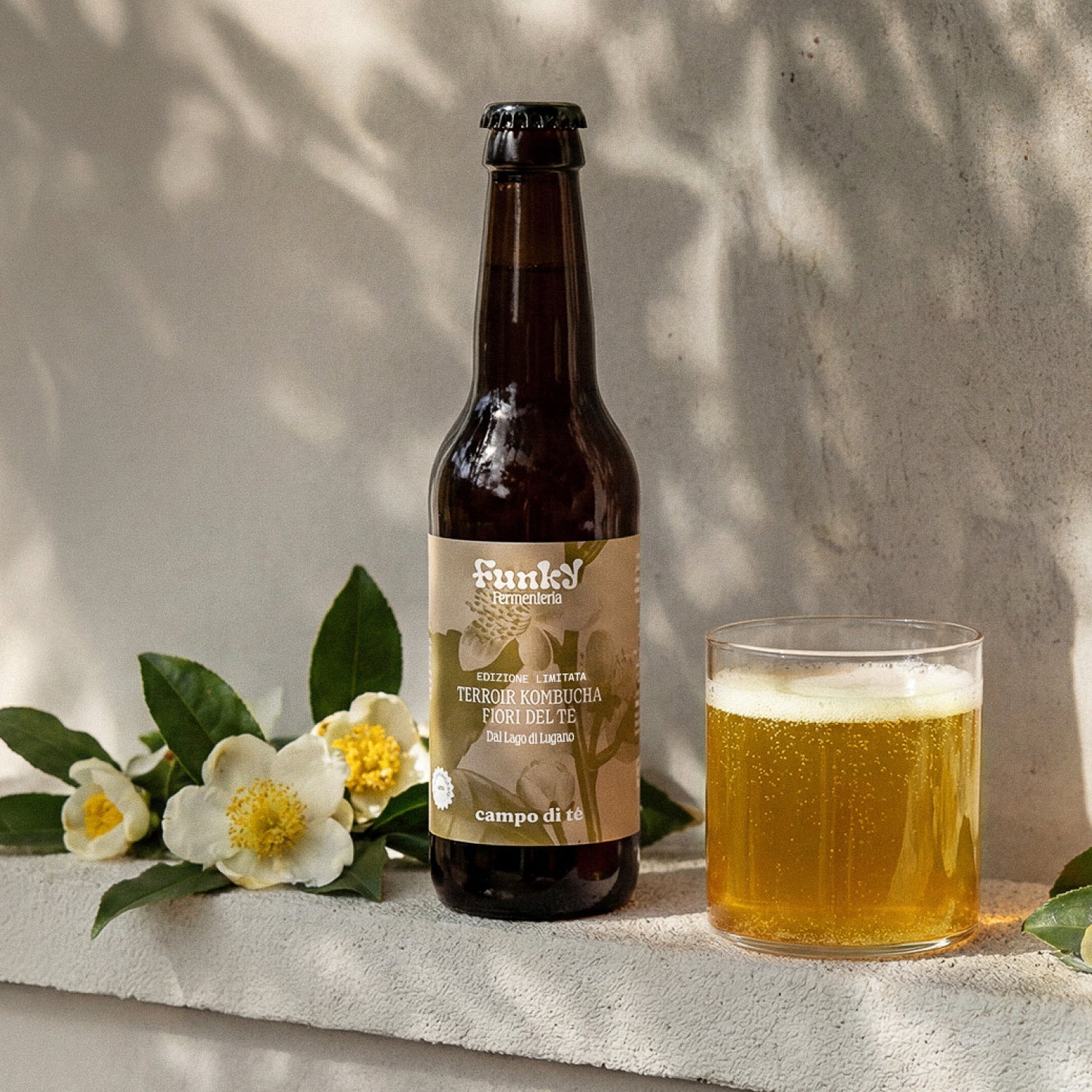 Kombucha Terroir