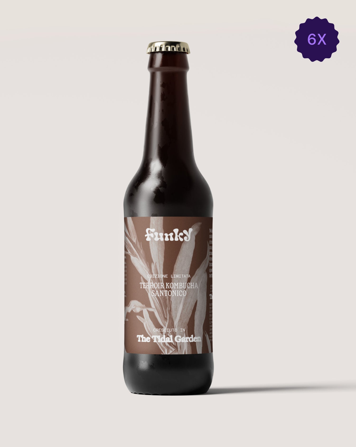 Kombucha Terroir Santonico