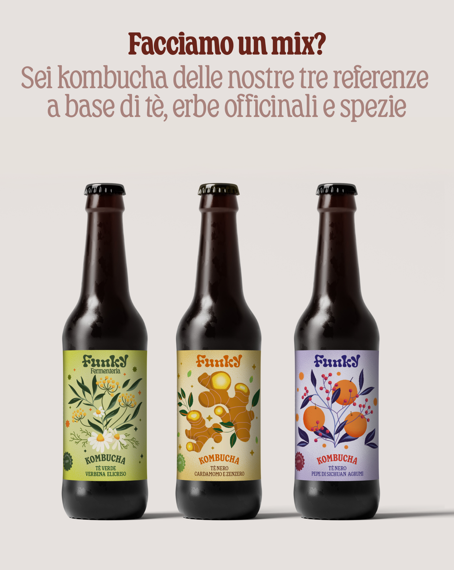 Kombucha Mix box 6x330ml