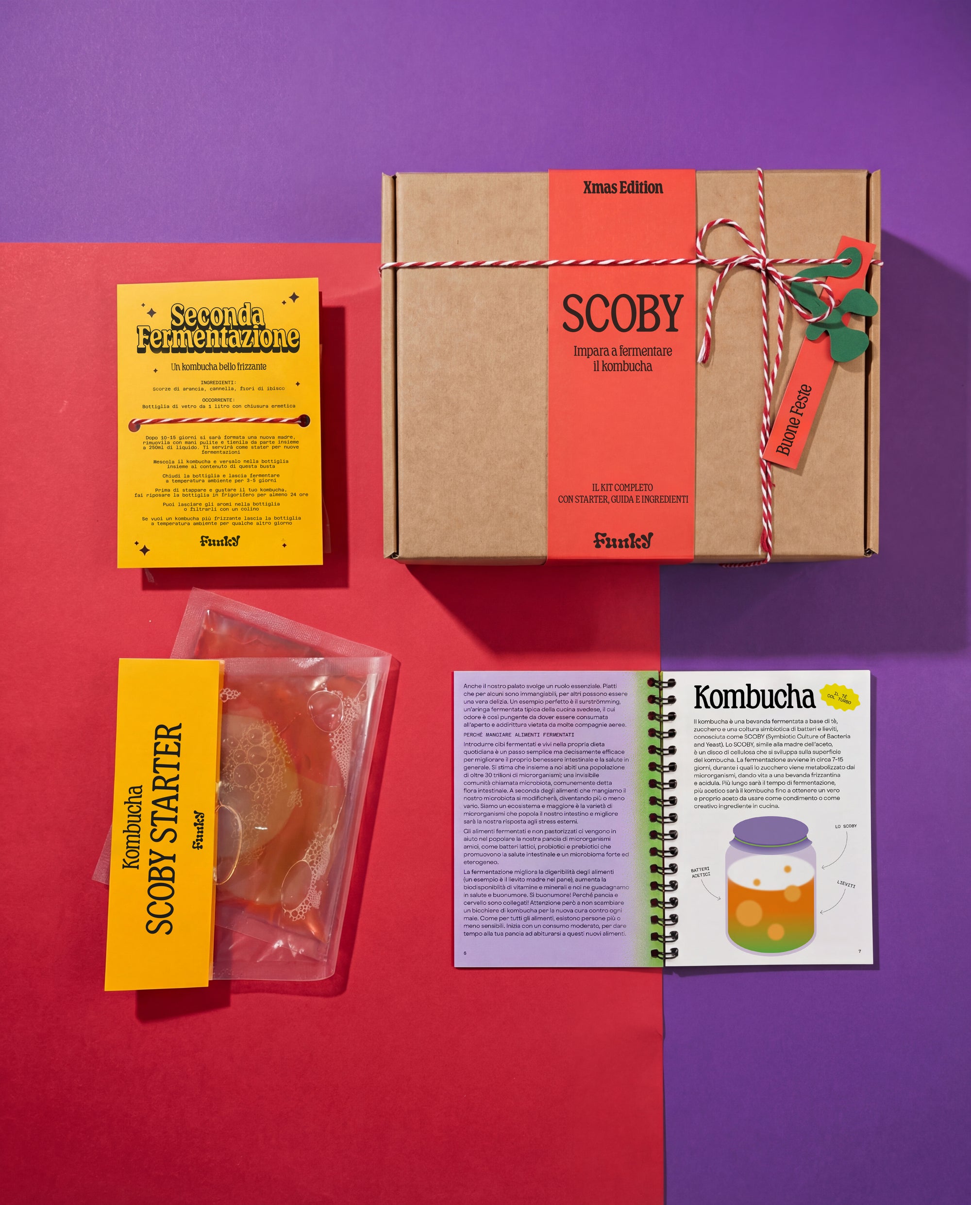 Scoby Kit Speciale Natale
